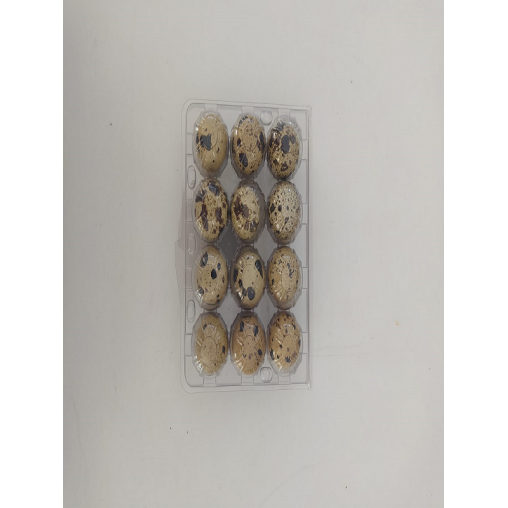 Jumbo Bıldırcın Yumurtası