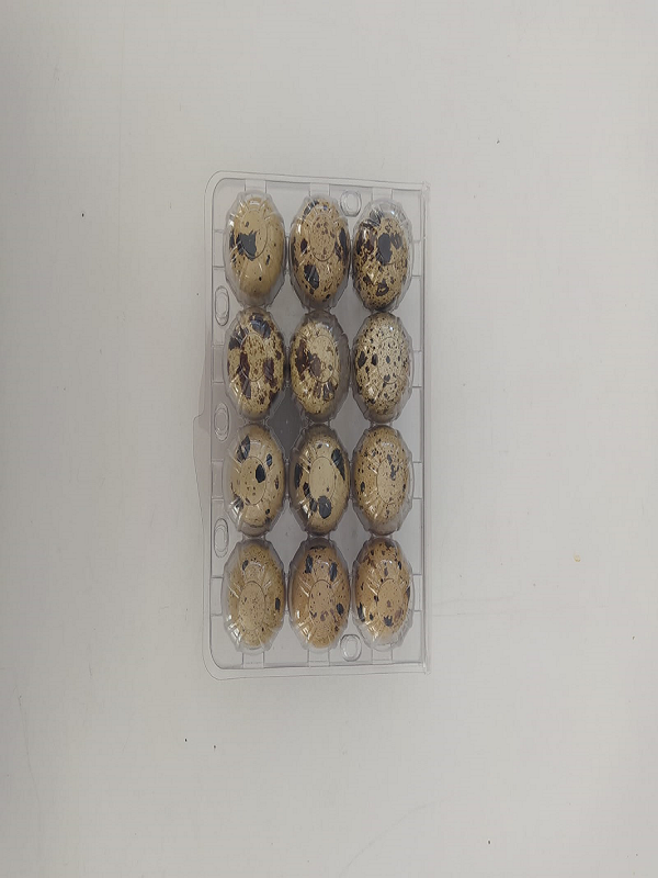 Jumbo Bıldırcın Yumurtası 