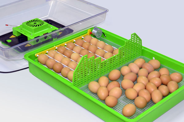 ÇİMUKA KULUÇKA MAKİNASI PD60 SH