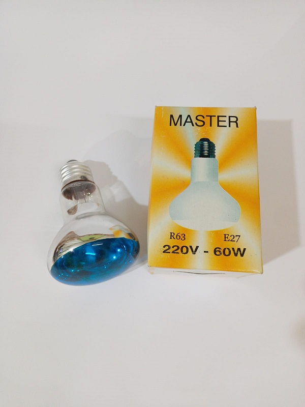  60 Watt Master Infradet Isıtıcı Ampül Mavi 