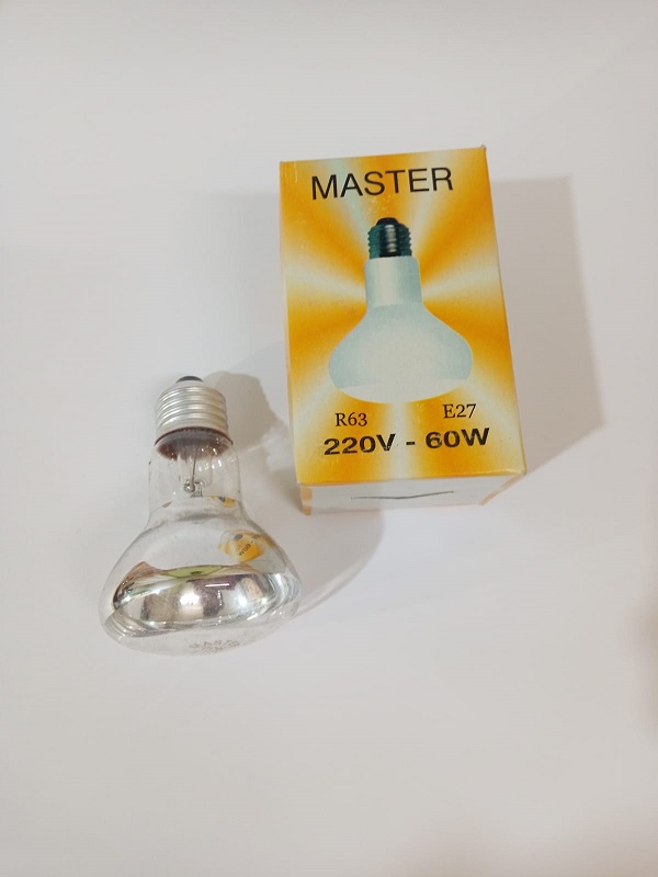  60 Watt Master Infradet Isıtıcı Ampül Şeffaf Gün Işığı 