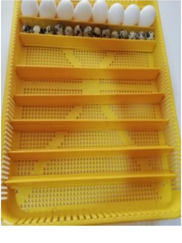 Gelişim Ve Çıkım Tablası